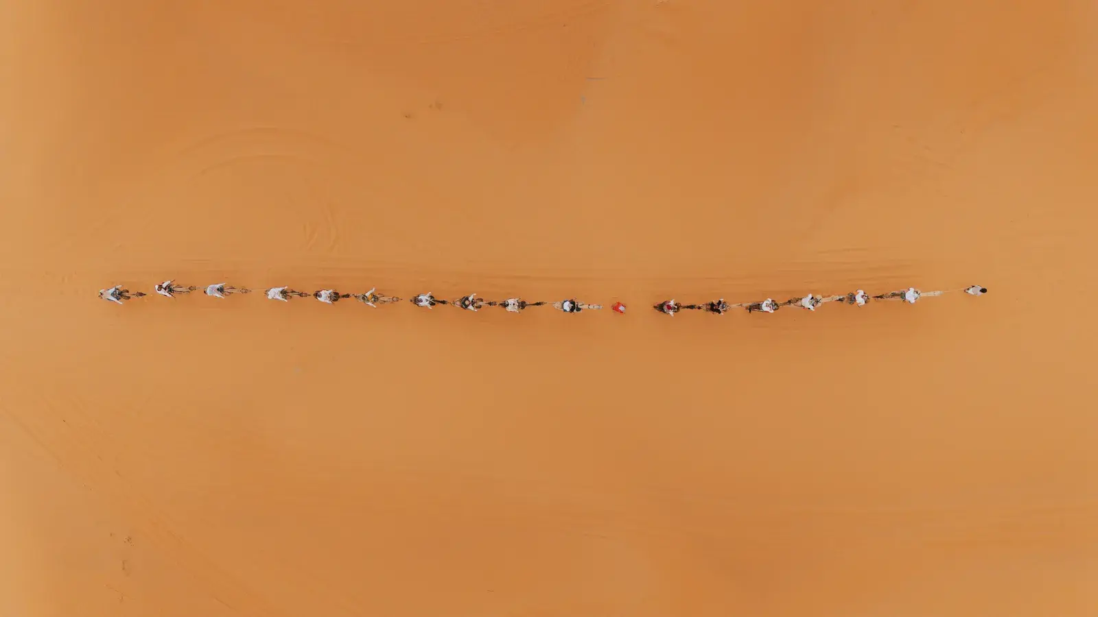 Aerial view of camel caravan crossing the Sahara desert