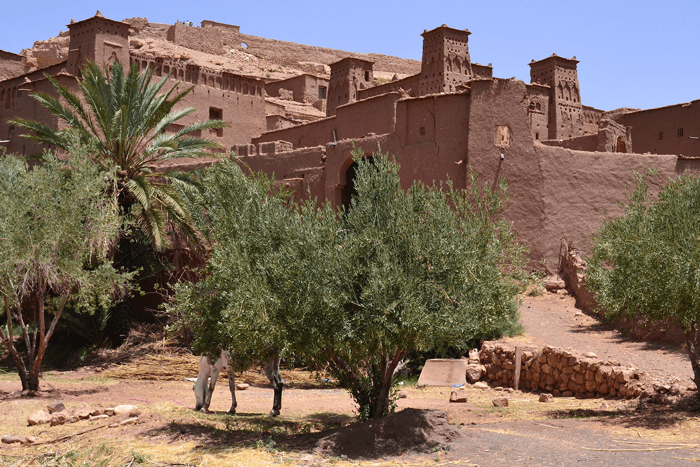 Kasbah of Ait Ben Haddou tour day 6