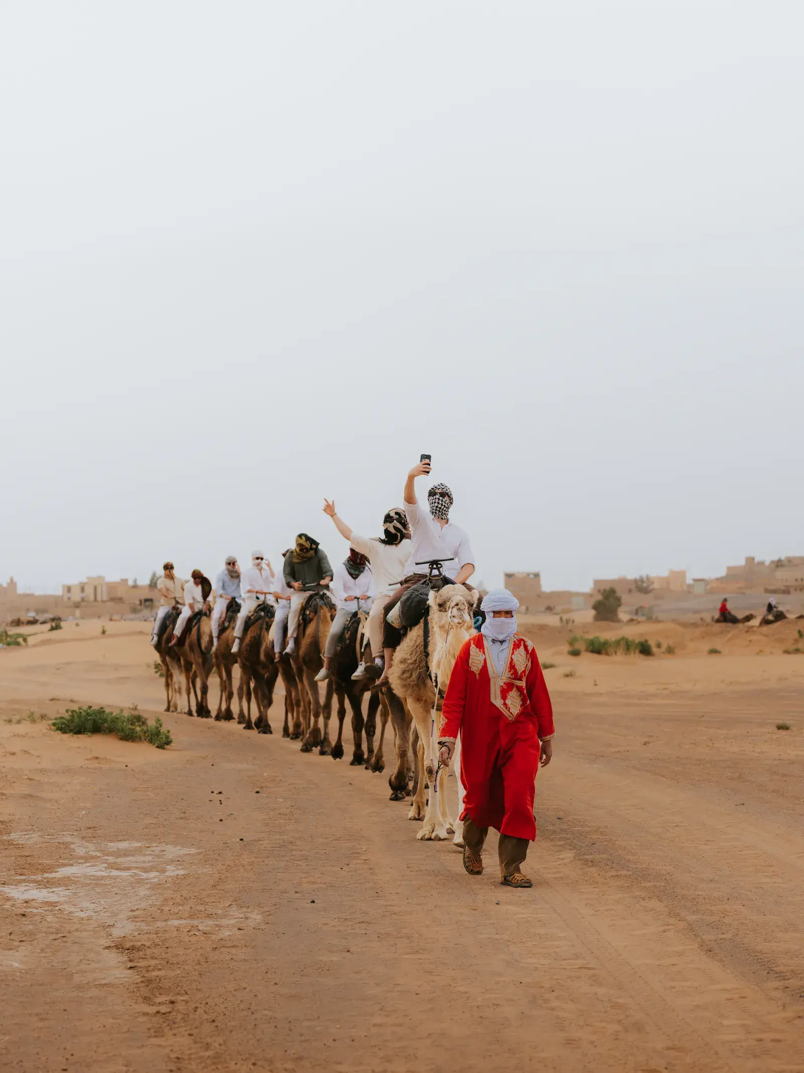 Camel caravan crossing the golden Sahara with guide