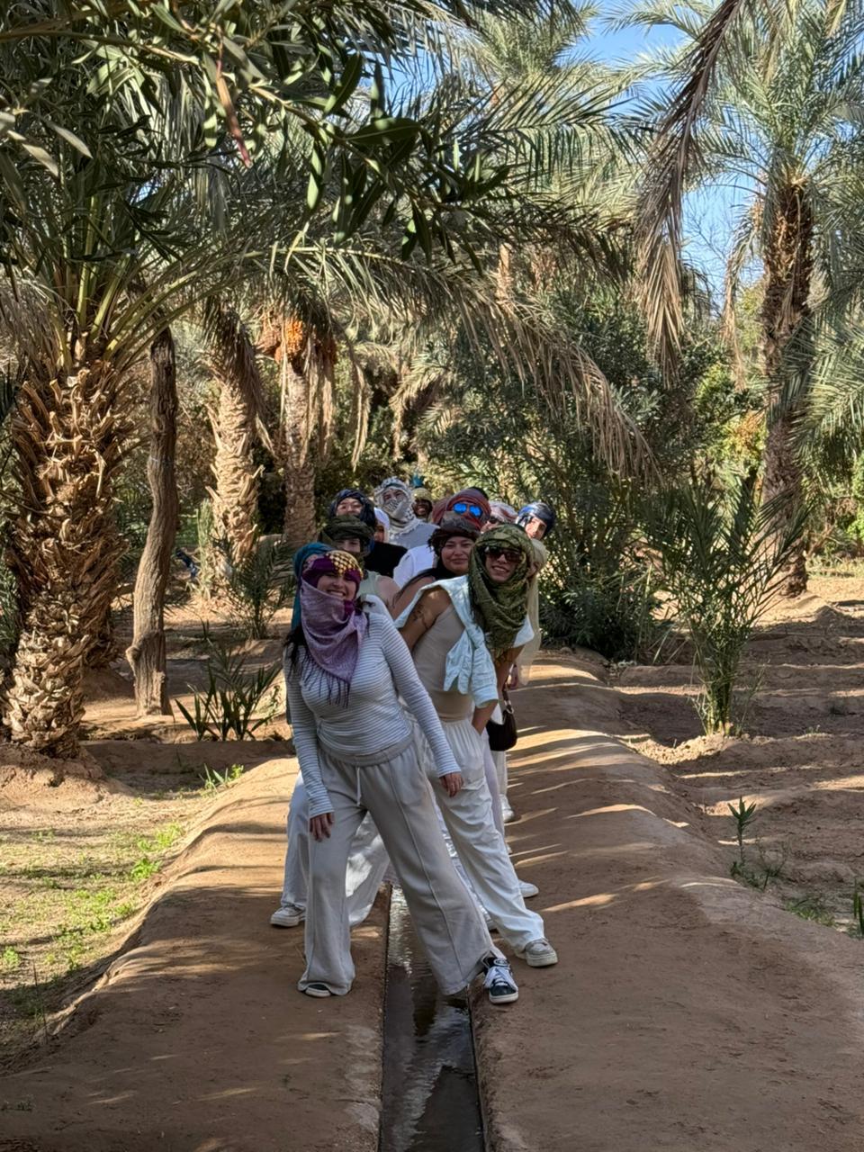 Walking through the oasis