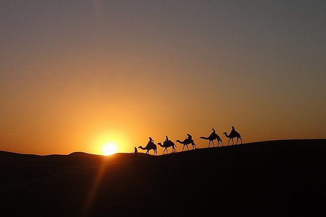 A magnificent camel sunset in Merzouga